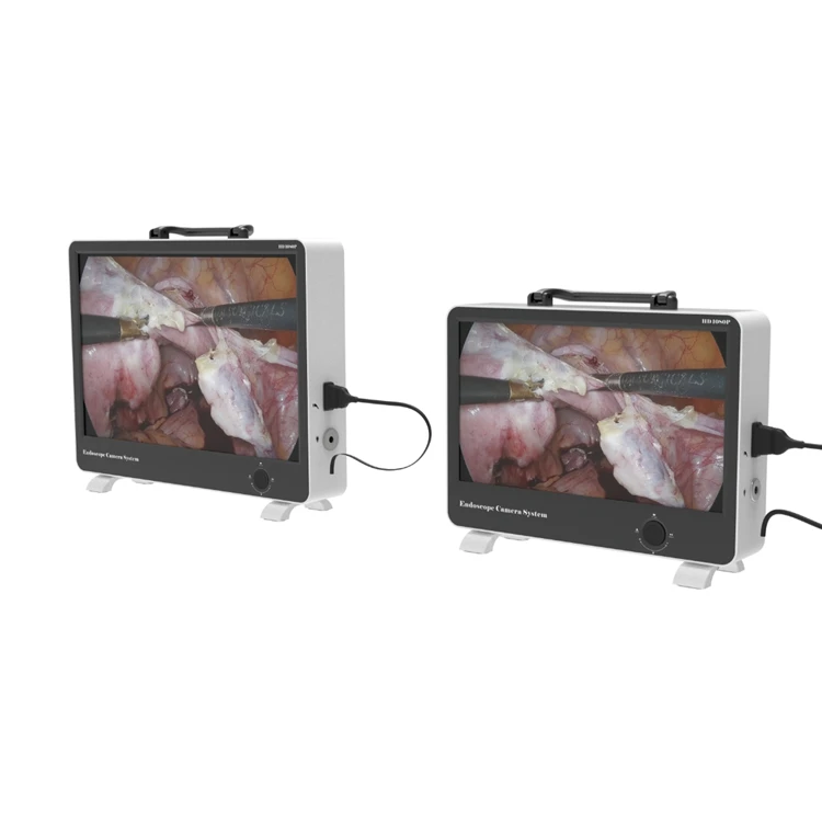 Integrated ENT Endoscope OEM Integrated ENT Endoscope OEM